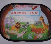 Static car sunshade